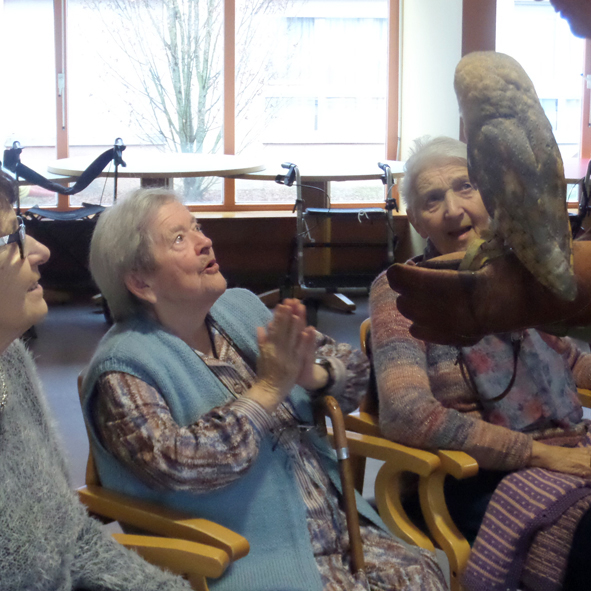 2-chouettes.jpg
